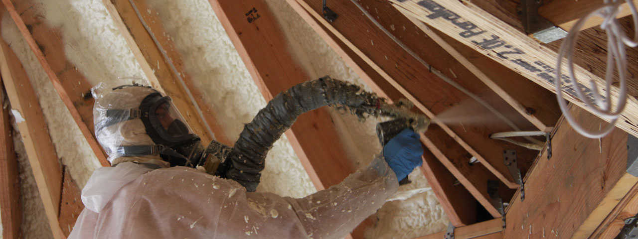  Georgia Attic Insulation Spray Foam